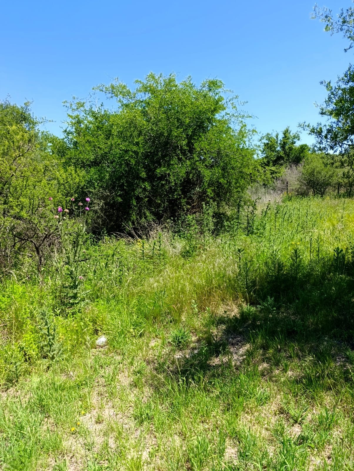 Lote en venta Villa Rumipal